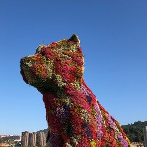 Meet your Posher, Deirdre